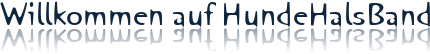 Willkommen auf HundeHalsBand